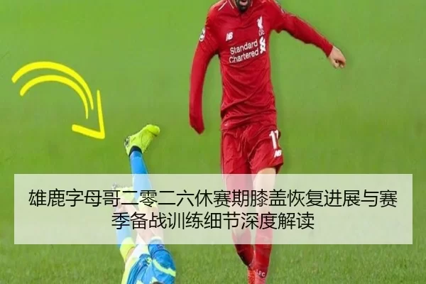 雄鹿字母哥二零二六休赛期膝盖恢复进展与赛季备战训练细节深度解读